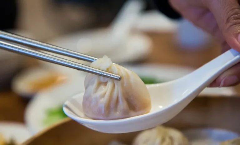 chicken xiao long bao recipe